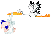 babystorch2.gif: 170 x 124 15.23kB babystorch2.gif: 170 x 124 15.23kB