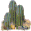 kaktus04.gif: 45 x 45  18.86kB