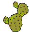 kaktus08.gif: 60 x 67  9.92kB