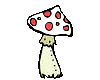 pilz13.gif: 100 x 80 5.85kB pilz13.gif: 100 x 80 5.85kB