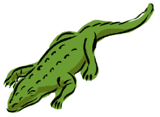 krokodil06.gif: 232 x 170  10.76kB