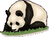 panda09.gif: 101 x 77  14.35kB