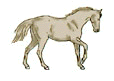 pferd01.gif