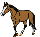 pferd08.gif: 134 x 124  10.1kB