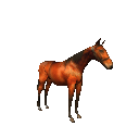 pferd19.gif: 128 x 128  64.23kB
