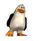 pinguin10.gif: 80 x 80  22.93kB