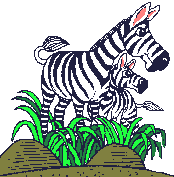 zebra02.gif: 174 x 177  8.4kB