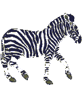 zebra03.gif: 122 x 125  9.67kB