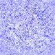 Hintergrund: blau002.gif