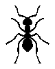 ameisen16.gif: 80 x 100  3.99kB
