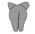 elefant15.gif: 115 x 112  11.56kB