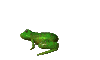 frosch04.gif: 100 x 60  8.23kB