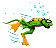 frosch05.gif: 116 x 100  6.49kB