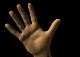 hand09.gif: 80 x 57  18.31kB