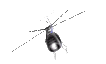 hubschrauber10.gif: 106 x 64  41.25kB