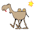 kamel01.gif: 123 x 106  7.61kB