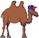 kamel03.gif: 140 x 135  4.85kB