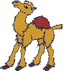 kamel05.gif: 133 x 144  3.4kB