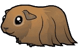 meerschwein7.gif: 156 x 100  25.84kB