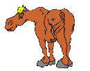 pferd18.gif: 130 x 102  12.41kB