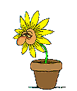 blume_niesen.gif: 109 x 128  7.77kB