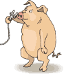 schwein08.gif: 96 x 107  7.13kB