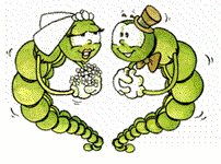 wurm08.gif: 202 x 150  12.88kB