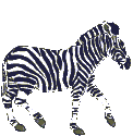 zebra03.gif: 122 x 125  9.67kB