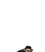 evolution9.gif: 150 x 176 38.91kB evolution9.gif: 150 x 176 38.91kB