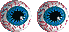 auge01.gif: 69 x 32  6.23kB