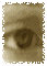 auge03.gif: 43 x 60  8.67kB