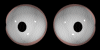 auge27.gif: 100 x 50  9.58kB