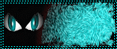 augen8.gif: 170 x 72  67.23kB