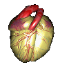 organ02.gif: 87 x 97  53.97kB