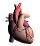organ03.gif: 40 x 46  9.55kB