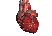 organ06.gif: 52 x 36  45.24kB