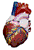 organ10.gif: 34 x 50  3.54kB