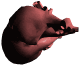 organ12.gif: 80 x 66  9.45kB