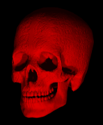 head12.gif: 148 x 180  37.06kB