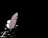 email4.gif: 100 x 80  5.7kB
