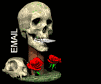 email6.gif: 146 x 121  18.18kB