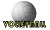 ball06.gif: 100 x 60  7.37kB