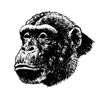 affe01.gif: 160 x 140  15.02kB