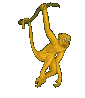 affe12.gif: 85 x 98  11.88kB