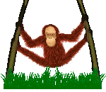 affe1.gif: 150 x 130 25.78kB affe1.gif: 150 x 130 25.78kB
