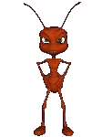 ameisen5.gif: 112 x 150 19.81kB ameisen5.gif: 112 x 150 19.81kB