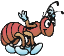 ameisen6.gif: 128 x 113 15.75kB ameisen6.gif: 128 x 113 15.75kB