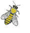 biene08.gif: 60 x 66  3.74kB