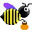 biene14.gif: 45 x 45  1.63kB