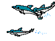 delphin05.gif: 109 x 82  8.5kB